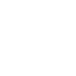 onelayf official logo